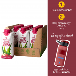 Aloe Berry Nectar 12 x 330ml